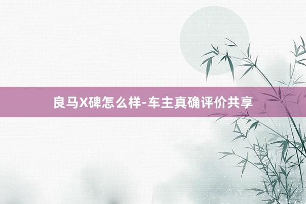 良马X碑怎么样-车主真确评价共享