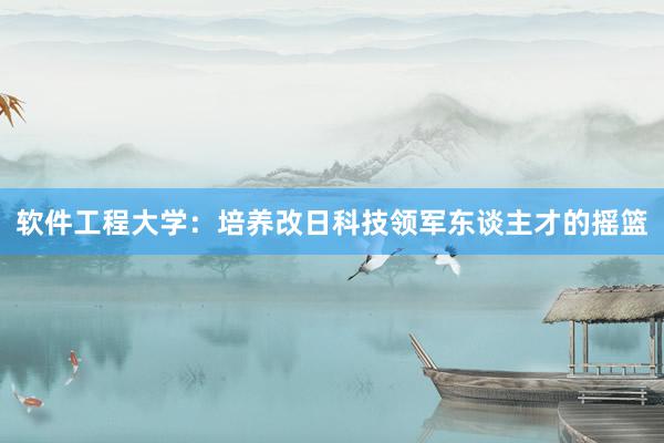 软件工程大学：培养改日科技领军东谈主才的摇篮