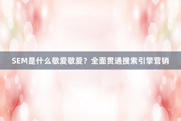SEM是什么敬爱敬爱？全面贯通搜索引擎营销